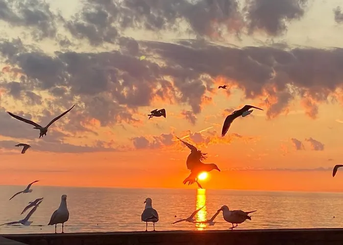 Maison De à 30 M De La *
